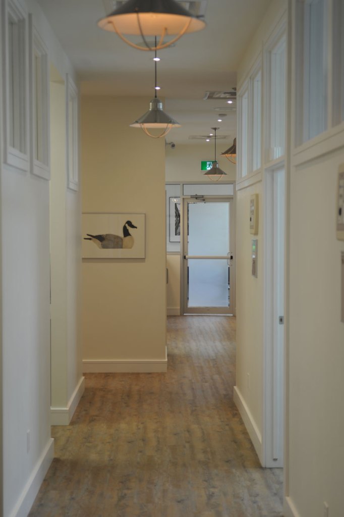 Oral surgery office hallway, Oral surgery office, Dr. Consky